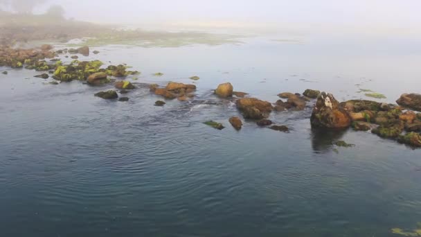 Stenen In de zee met mist — Stockvideo