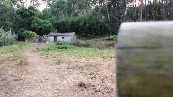 Huis in het midden van de bomen — Stockvideo