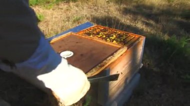 Arıcılık paneli kapanış arıcı