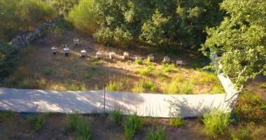 Arıcılık paneli havadan görünümü