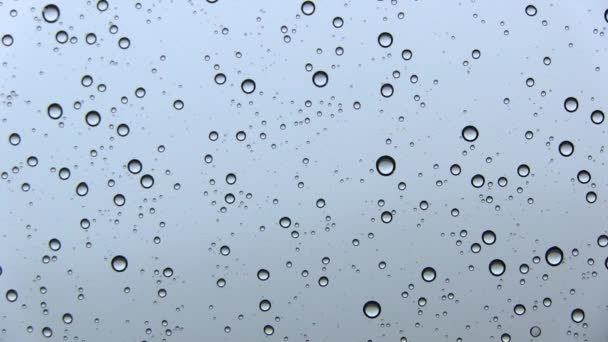 雨中的水滴落在窗边 — 图库视频影像