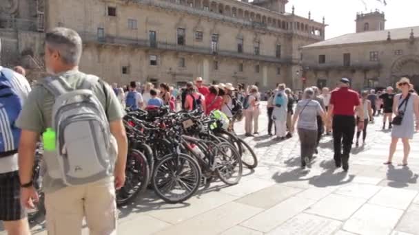 Cathédral Santiago Compostela Square Pilgrimes Végétaux — Video