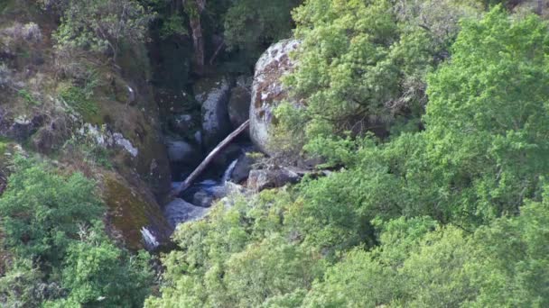 Kleiner Wasserfall Zwischen Felsen Mit Gebrochenem Stamm — Stockvideo