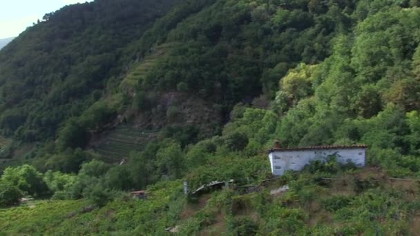 Panorama Vale Sil Canon Com Vineyards River — Vídeo de Stock