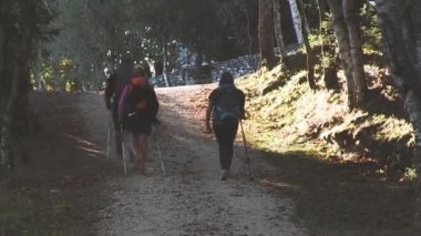 Bir yolda yürürken üç hacılar