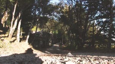 Bir yol ve ağaçlar arasında eski bir ev