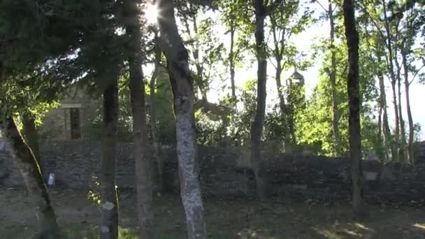 Ağaçlar Arasında Güneş — Stok video
