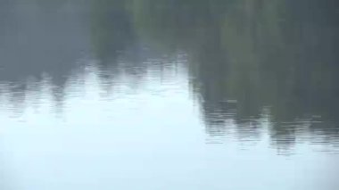 İle su dalgaları yansıtır