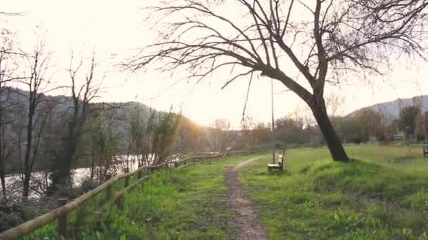 Weg in einem Park mit Setzling und Baum — Stockvideo