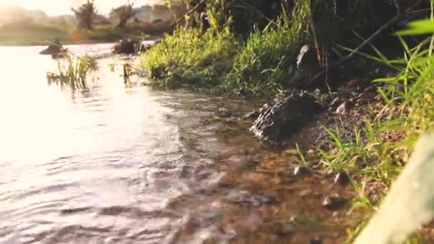 Kleines Flussufer mit Sonnenlicht — Stockvideo