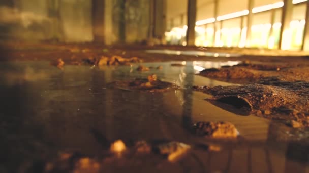 Einen Stein auf einen verwüsteten Boden voller brauner Schlamm werfen — Stockvideo