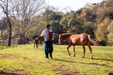 Gaucho atların arasında mızıka çalıyor..