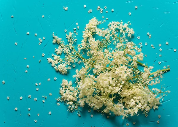 Las Flores Saúco Saúco Sambucus Nigra Delicioso Alimento Saludable Conocido — Foto de Stock