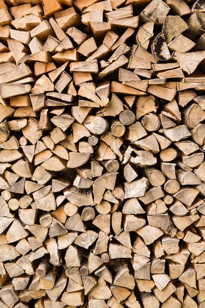 Yakacak odun toplamak için kullanılan kesik kütüklerin arka planında.