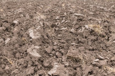 Bahçe ve tarım için kullanılan ekimi veya earth arka plan için toprak hazırlanması.