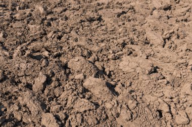 Bahçe ve tarım için kullanılan ekimi veya earth arka plan için toprak hazırlanması.