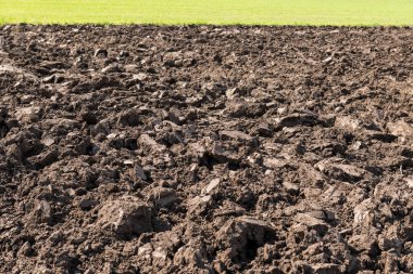 Bahçe ve tarım için kullanılan ekimi veya earth arka plan için toprak hazırlanması.