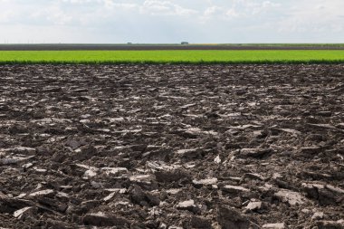 Bahçe ve tarım için kullanılan ekimi veya earth arka plan için toprak hazırlanması.