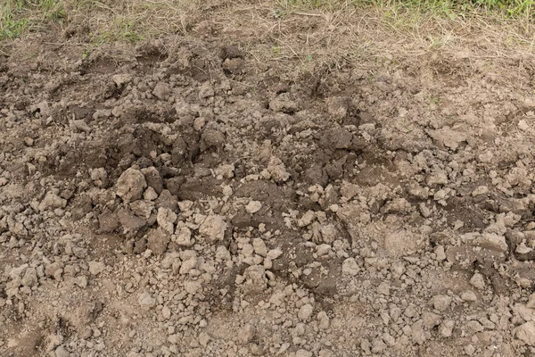 Dirt Soil Close Environmental Texture Pattern — Stock Photo, Image