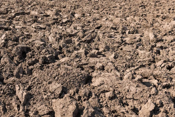 Preparación Del Suelo Para Cultivo Fondo Tierra Utilizado Para Jardinería — Foto de Stock