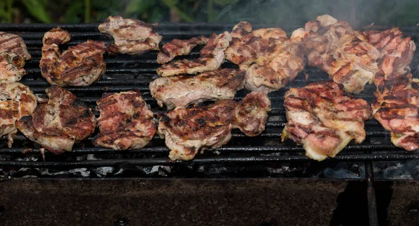 Carnes Parrilla Aire Libre Una Antigua Parrilla Hierro Rústico Carbones —  Fotos de Stock