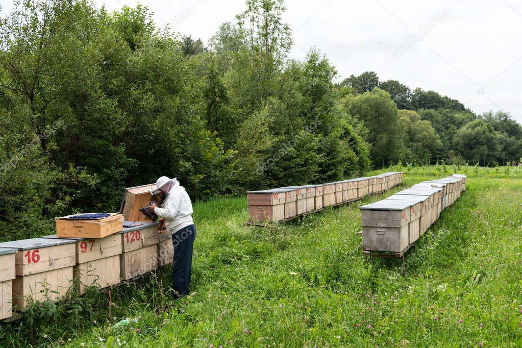 The beekeeper with a smoker in hands near a beehive