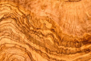 Zeytin ahşap doku arka planını yakın çekim.
