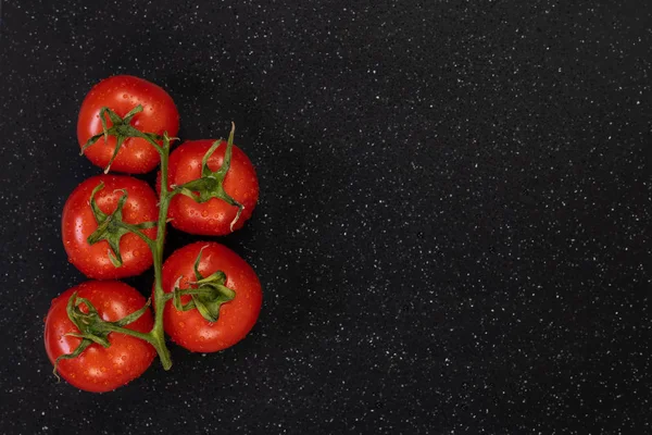 Tomaten am Weinstock — Stockfoto