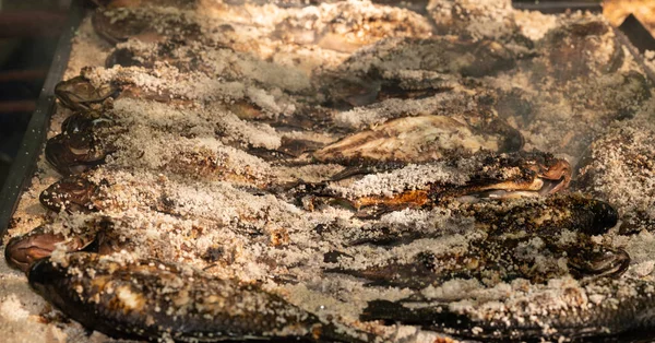 Тилапия грибная — стоковое фото