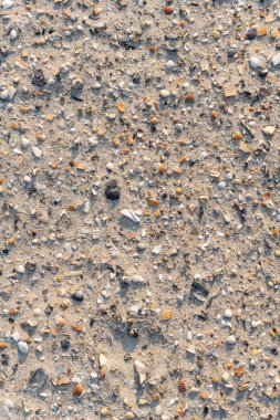 Kum üzerinde deniz kabukları parçaları