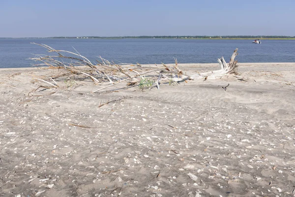 Dalgaların karaya attığı odun Beach