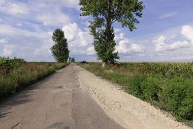 Hasarlı Asfalt Kaldırım Yolu 