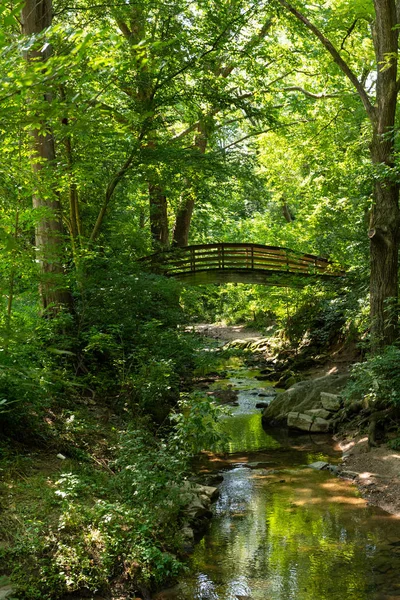 Träbro i skogen — Stockfoto