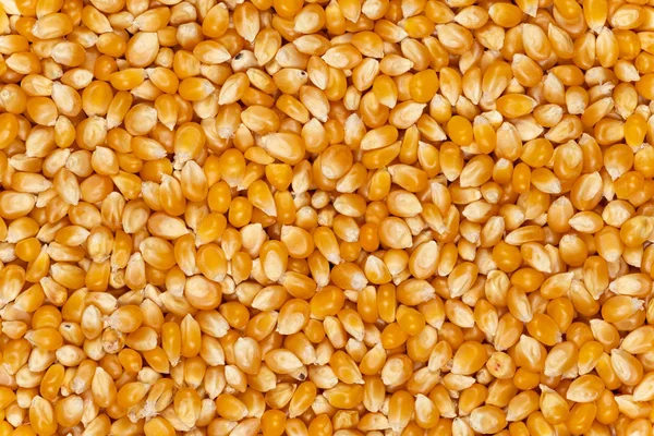 Popping Corn Background Texture