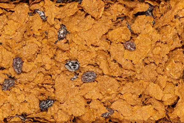 Фон текстуры зерна изюма — стоковое фото