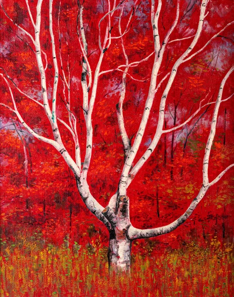 鮮やかな紅葉を背景に白樺の木を描く — ストック写真