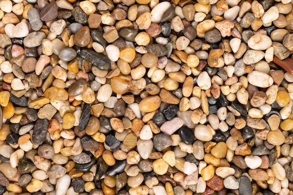 Mehrfarbige Kleine Flusssteine Textur Und Hintergrund — Stockfoto