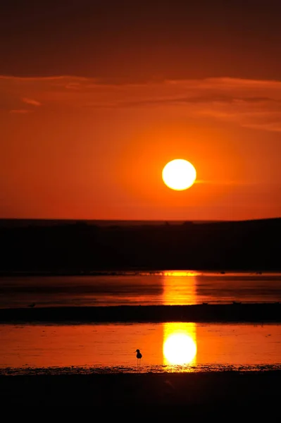 Belo Pôr Sol Sobre Mar — Fotografia de Stock