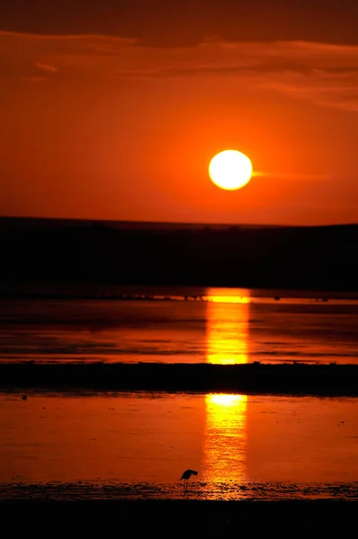 Schöner Sonnenuntergang Über Dem Meer — Stockfoto