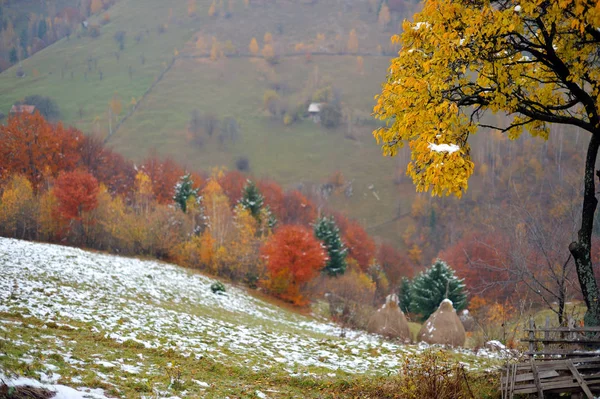 Autumn Landscape Mountains — Stock Photo, Image