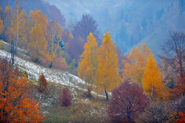 Jesienny Krajobraz Górach — Zdjęcie stockowe