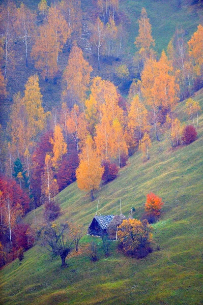 Paesaggio Autunnale Montagna — Foto Stock