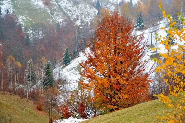 Herbstlandschaft Den Bergen — Stockfoto