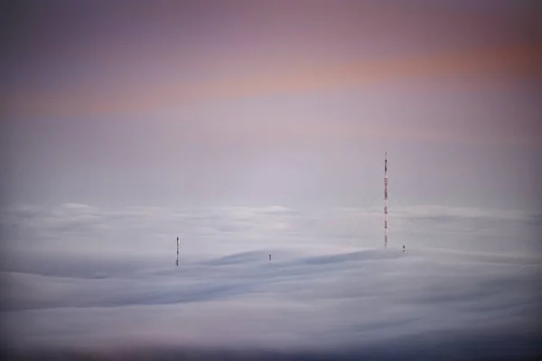 Foggy Morning Field Dobrogea Romania — Stock Photo, Image