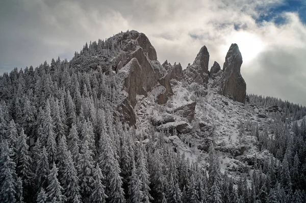 Paisaje Invernal Con Árboles Helados Cielo Nublado —  Fotos de Stock