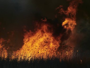 sırasında sahasındaki büyük alevler ateş