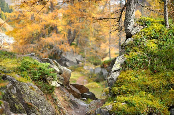 Paesaggio Montano Innergschloss Austria — Foto Stock