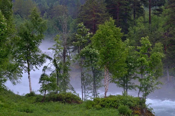 Hegyi Folyó Norvégia — Stock Fotó