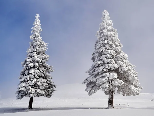 Χειμερινό Τοπίο Δέντρα Και Βουνά Καλυμμένα Χιόνι Και Τον Παγετό — Φωτογραφία Αρχείου