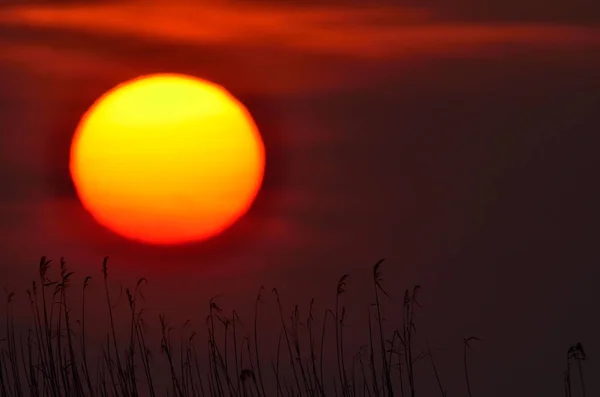 Scénique Magnifique Coucher Soleil — Photo